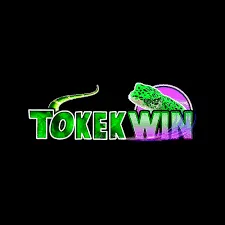 tokekwin APK RPG